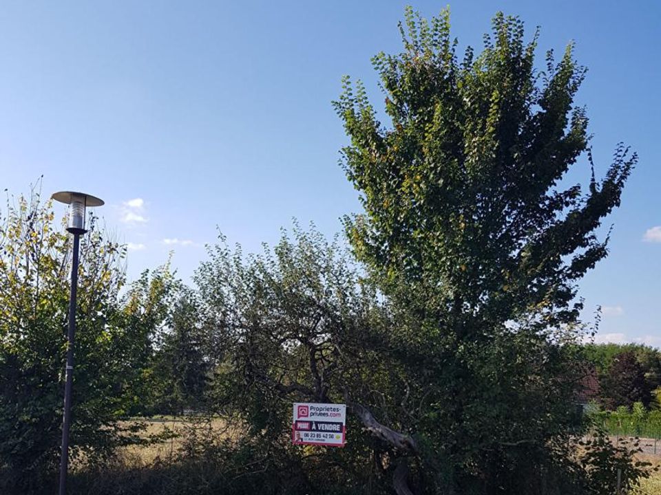 Terra a La Cour-Marigny, Loiret - foto 3