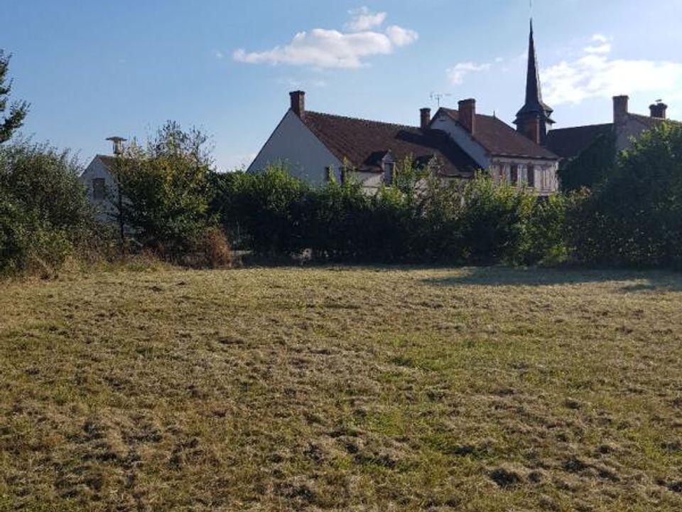 Terra a La Cour-Marigny, Loiret - foto 4