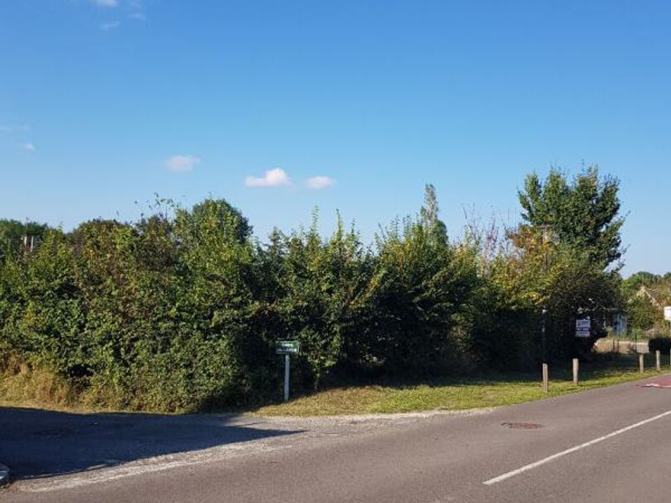 Terra a La Cour-Marigny, Loiret - foto 5