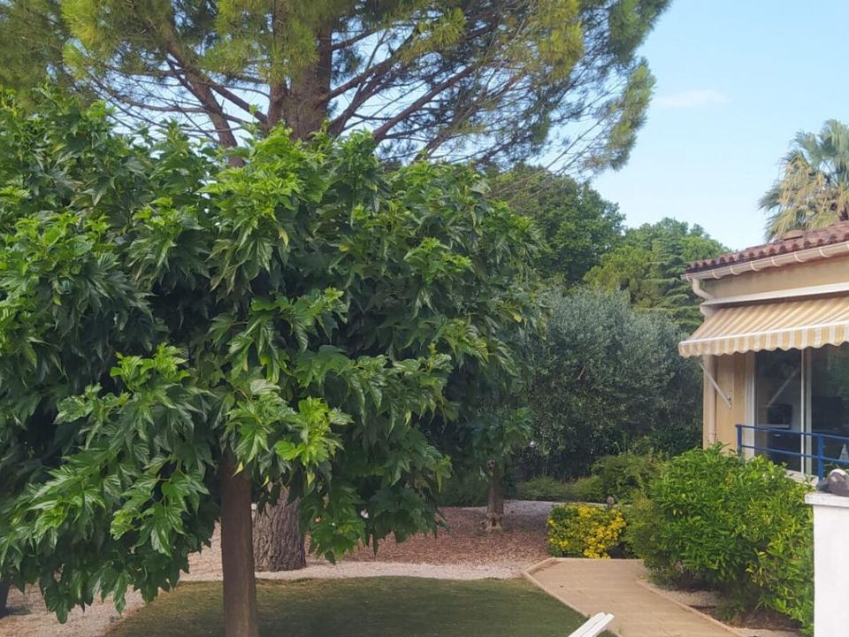 Villa i Saint-Felix-de-Lodez, Herault - foto 5