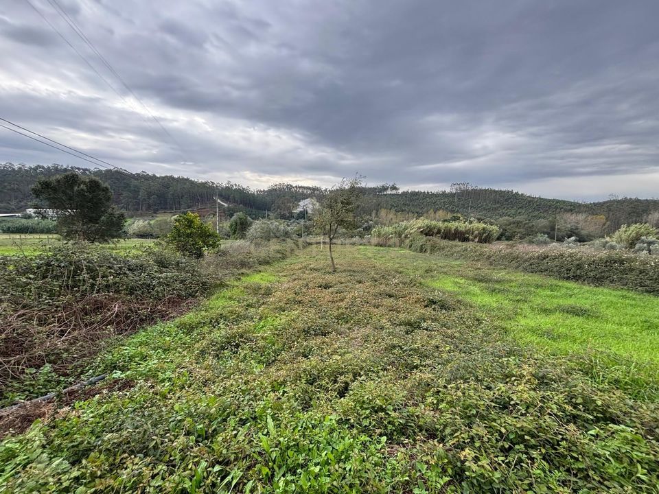 Helårsgrund i Colmeias, Leiria - foto 1