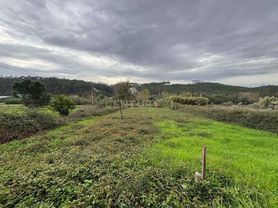 Helårsgrund i Colmeias, Leiria - foto 3