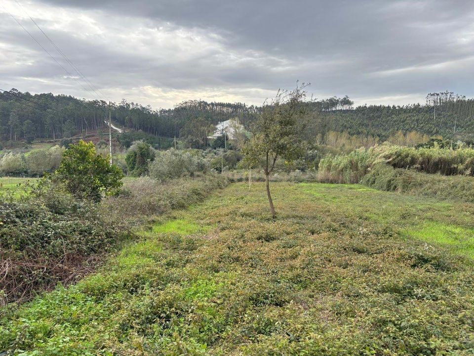 Helårsgrund i Colmeias, Leiria - foto 5