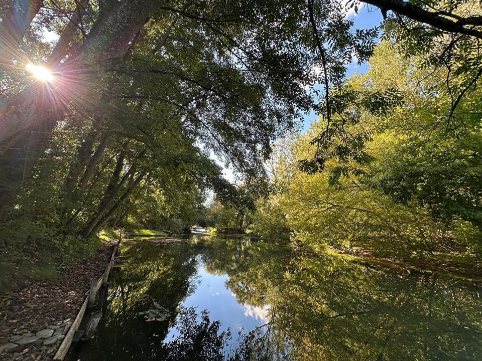 Villa i Montargis, Loiret - foto 4