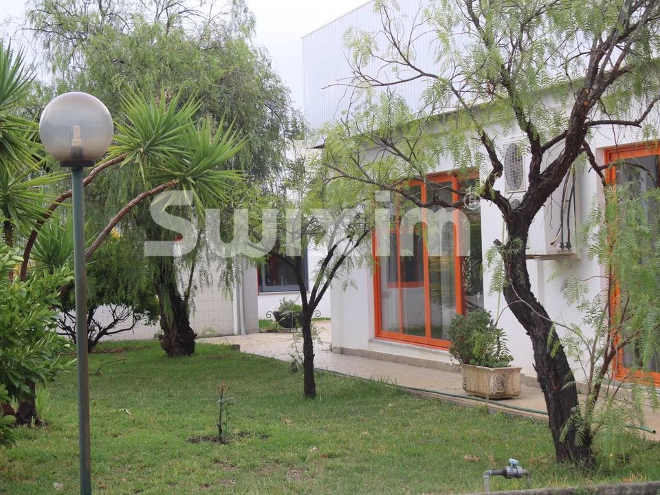 Lejlighed i Vila Velha de Rodao, Castelo Branco - foto 4