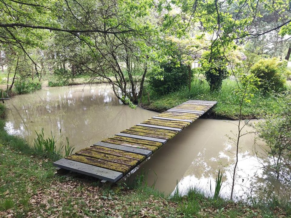 Helårsgrund i Mignaloux-Beauvoir, Vienne - foto 1