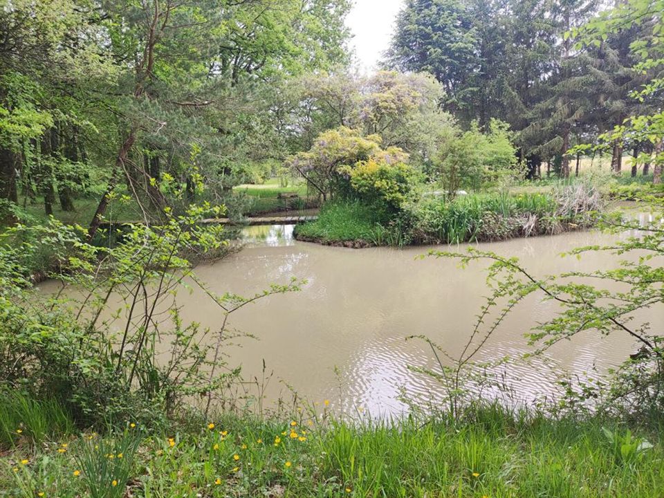 Helårsgrund i Mignaloux-Beauvoir, Vienne - foto 2