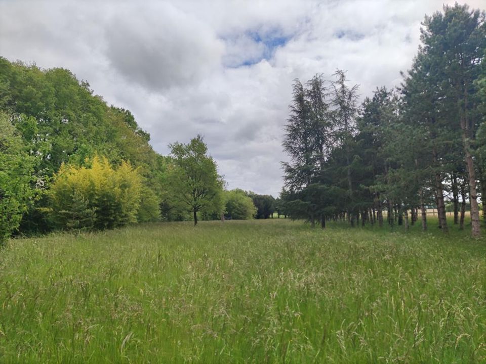Helårsgrund i Mignaloux-Beauvoir, Vienne - foto 3