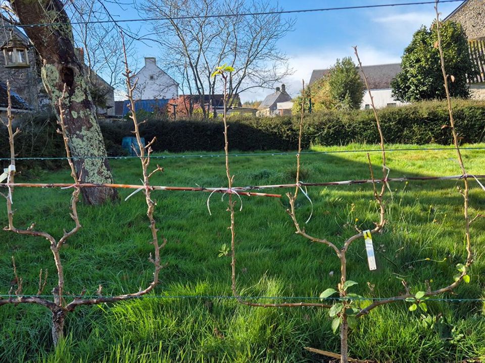 Villa i Lignol, Morbihan - foto 3