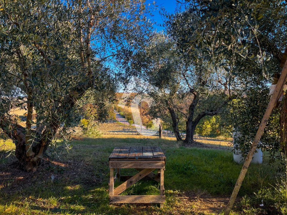 Villa i Montecarotto, Ancona - foto 5