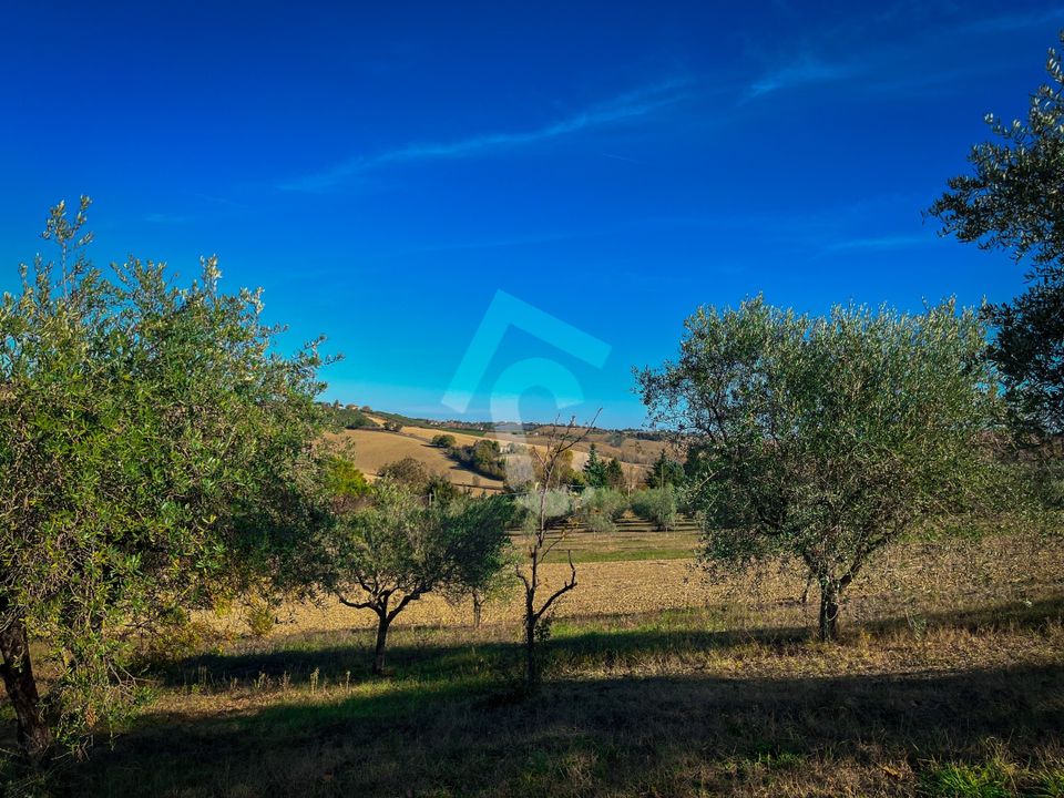 Villa i Senigallia, Ancona - foto 4