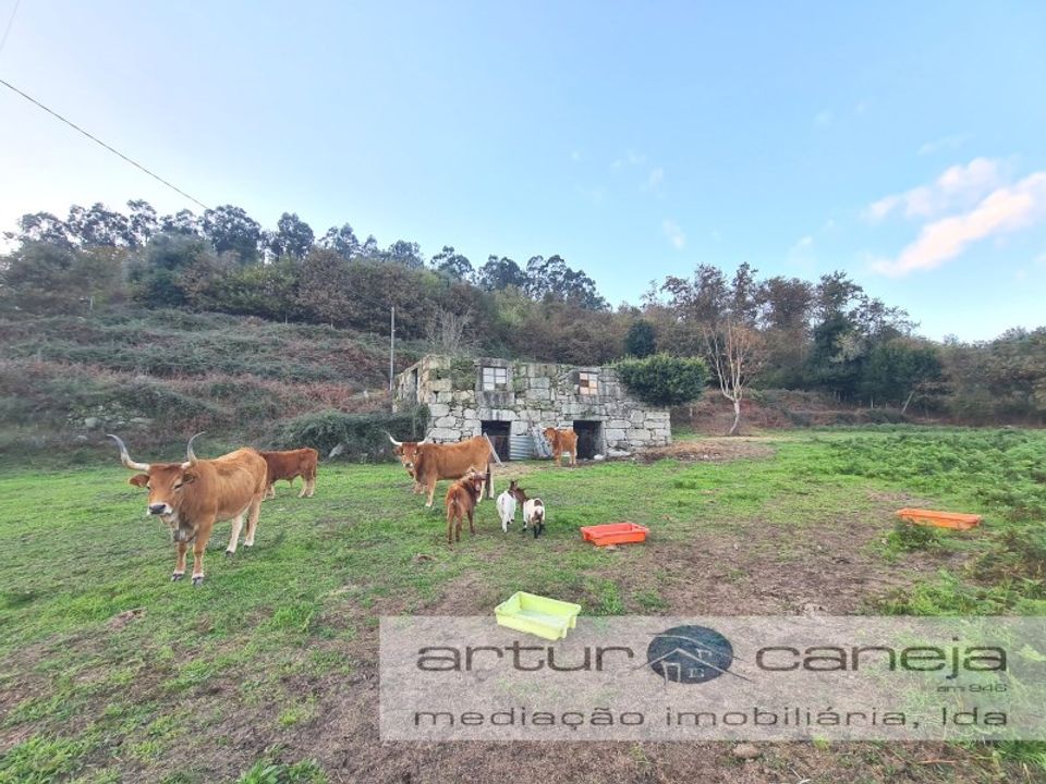 Farm i Arcos de Valdevez, Viana do Castelo - foto 1