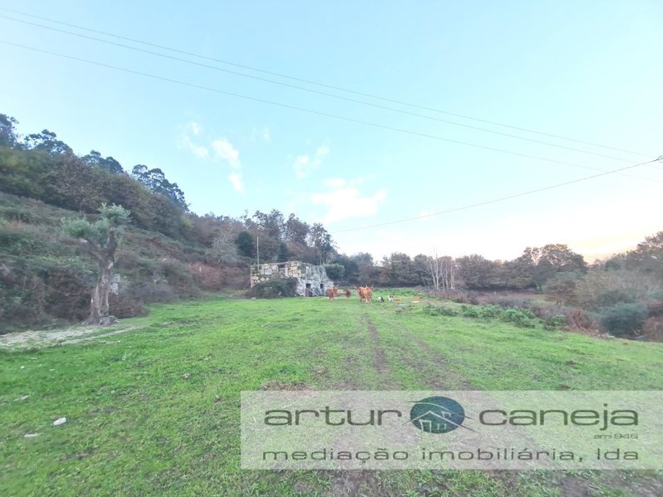 Farm i Arcos de Valdevez, Viana do Castelo - foto 3