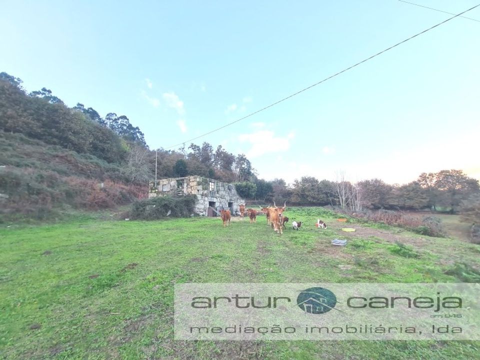 Farm i Arcos de Valdevez, Viana do Castelo - foto 5