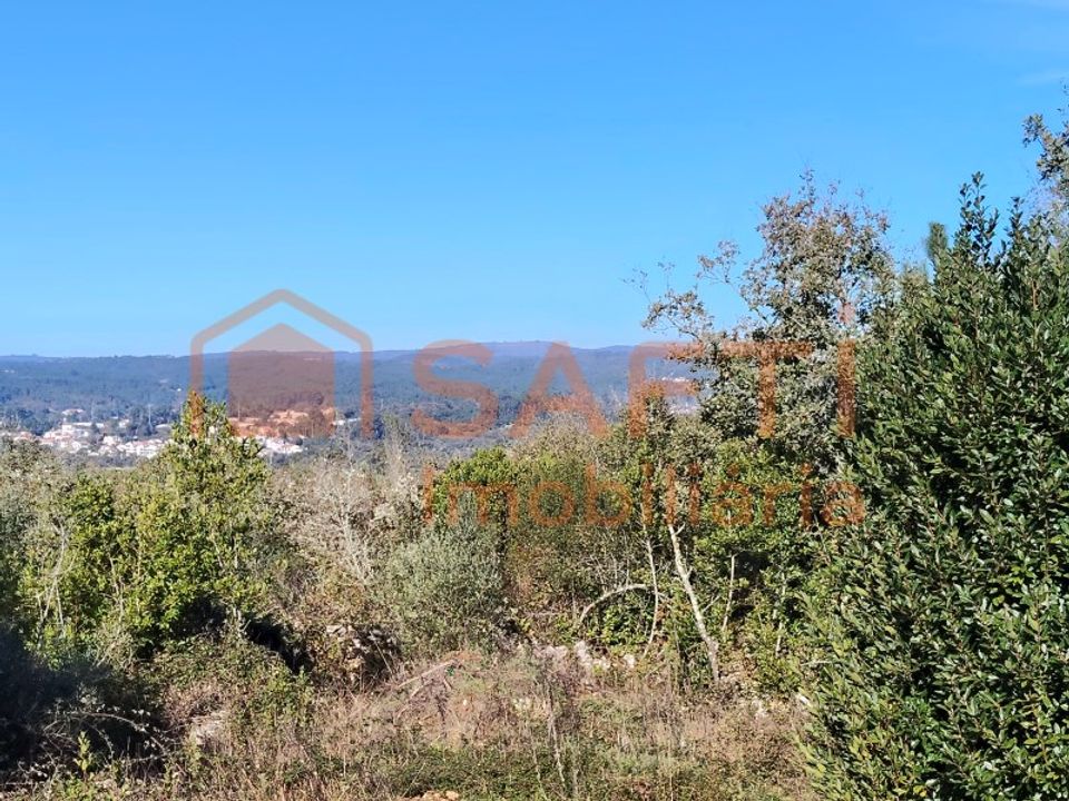 Helårsgrund i Ansiao, Leiria - foto 2