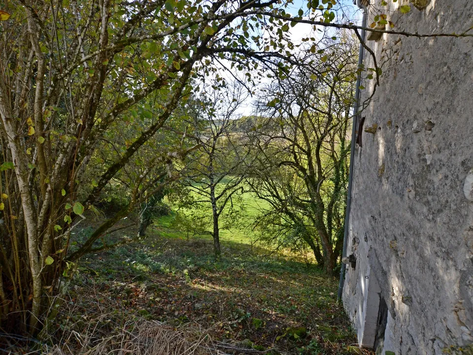 Herregård i Duras, Lot-et-Garonne - bilde 3