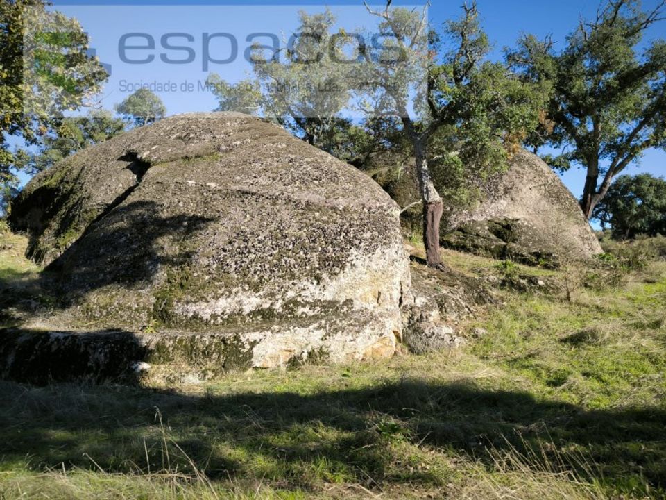 Erhvervsejendom i Escalos de Baixo, Castelo Branco - foto 1