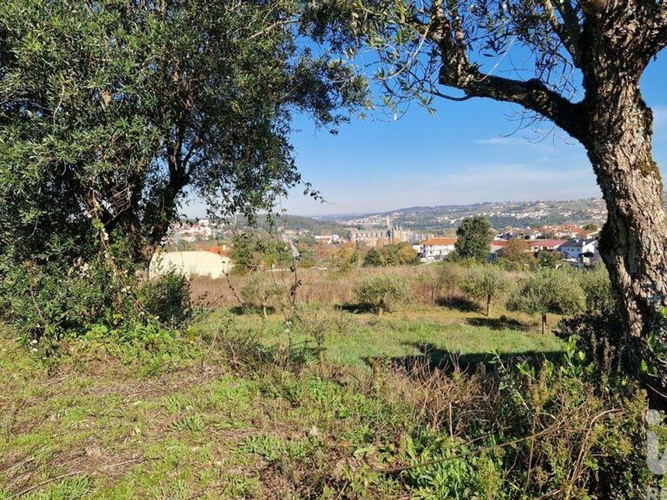 Helårsgrund i Batalha, Leiria - foto 5