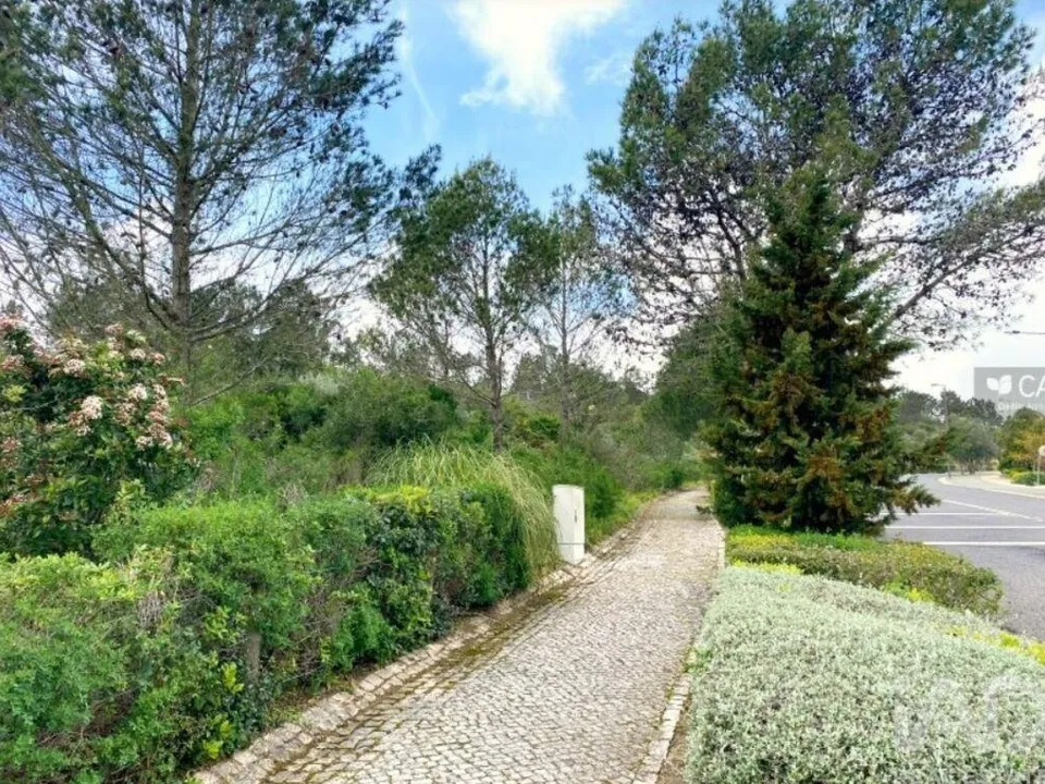 Terra a Sintra, Lisbon - foto 1