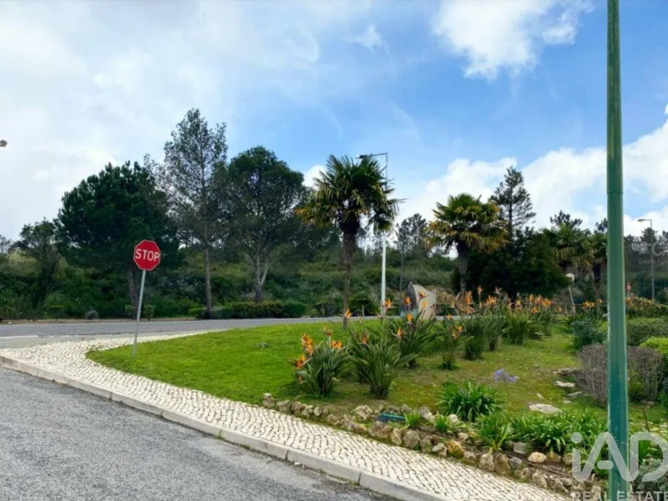 Terra a Sintra, Lisbon - foto 2