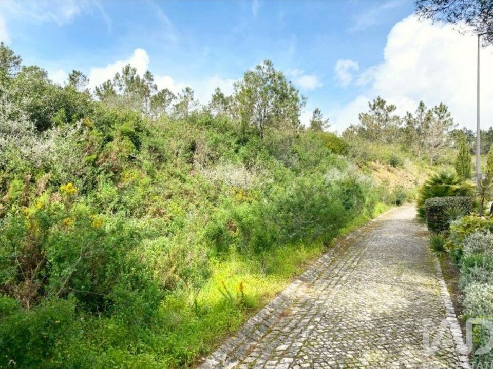 Terra a Sintra, Lisbon - foto 3