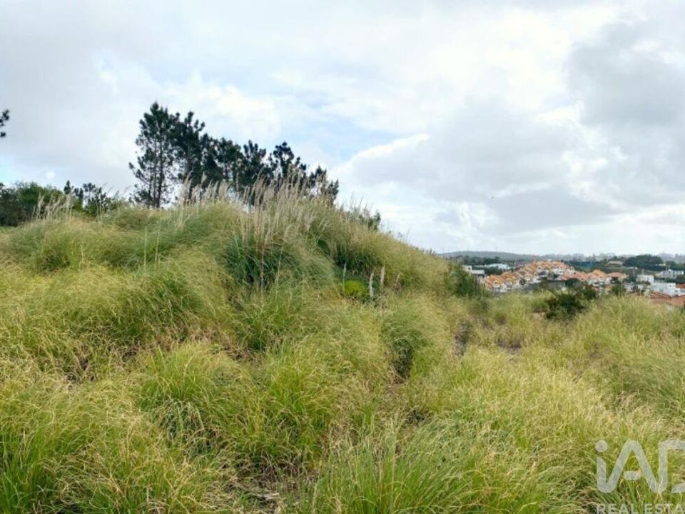 Terra a Sintra, Lisbon - foto 4