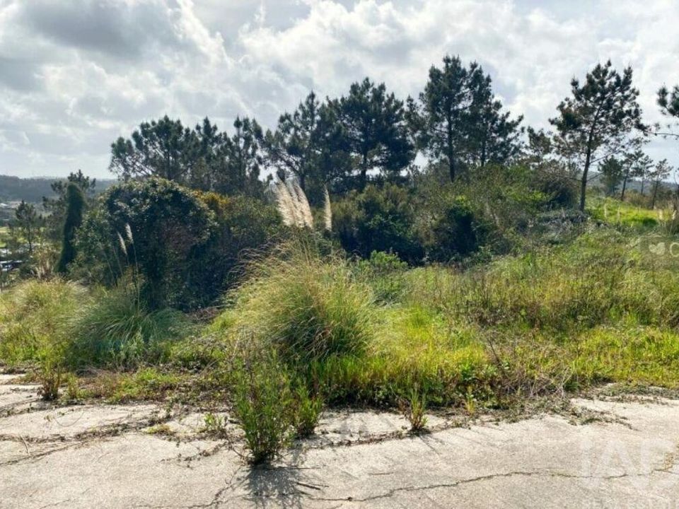 Terra a Sintra, Lisbon - foto 5
