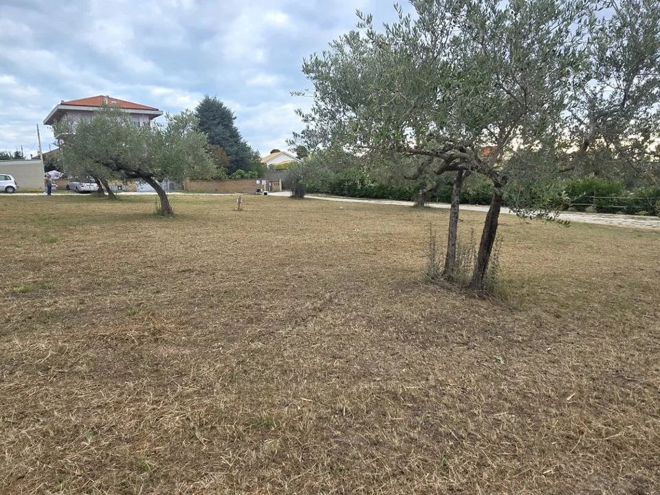 Terra em Collecorvino, Pescara - foto 1