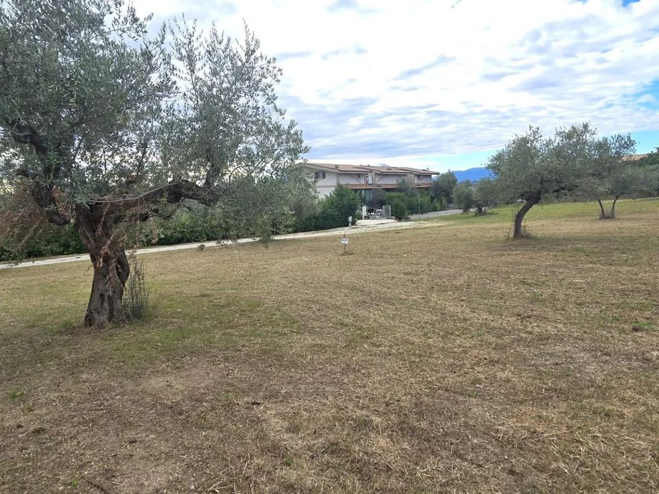 Terra em Collecorvino, Pescara - foto 2