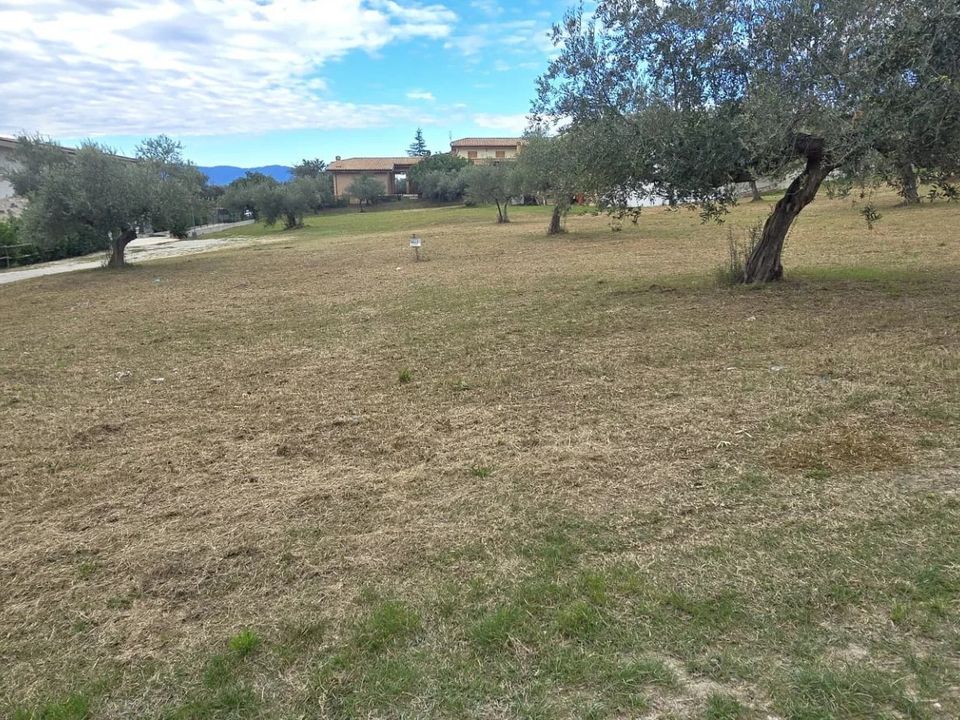 Terra em Collecorvino, Pescara - foto 3