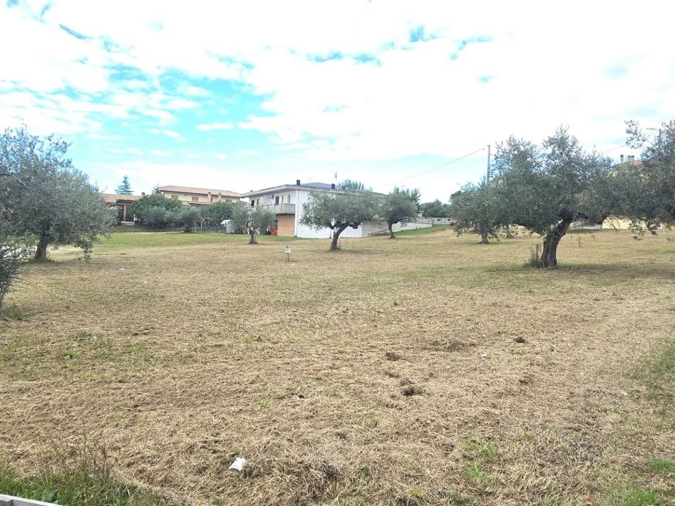 Terra em Collecorvino, Pescara - foto 4