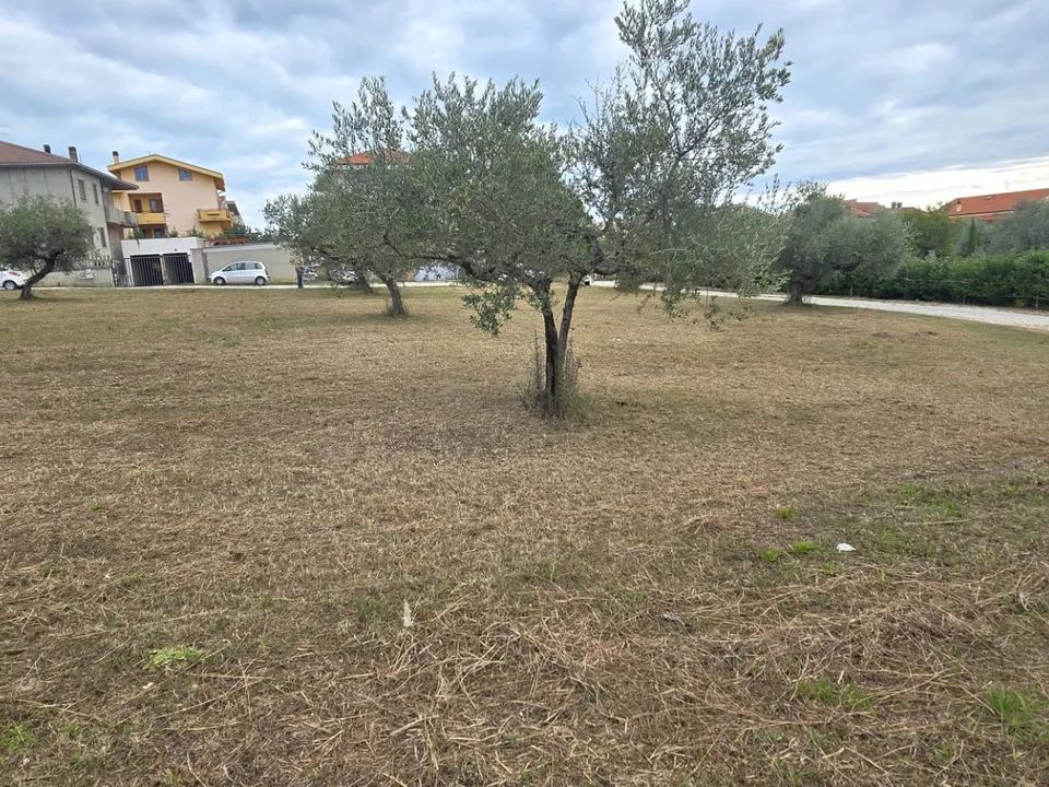 Terra em Collecorvino, Pescara - foto 5