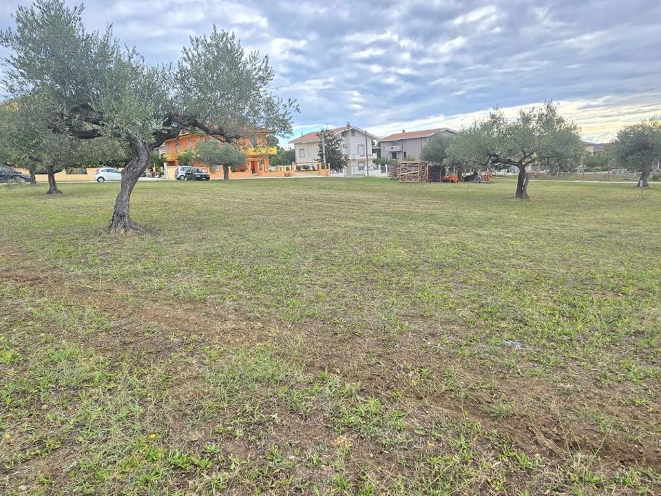 Terra em Collecorvino, Pescara - foto 2