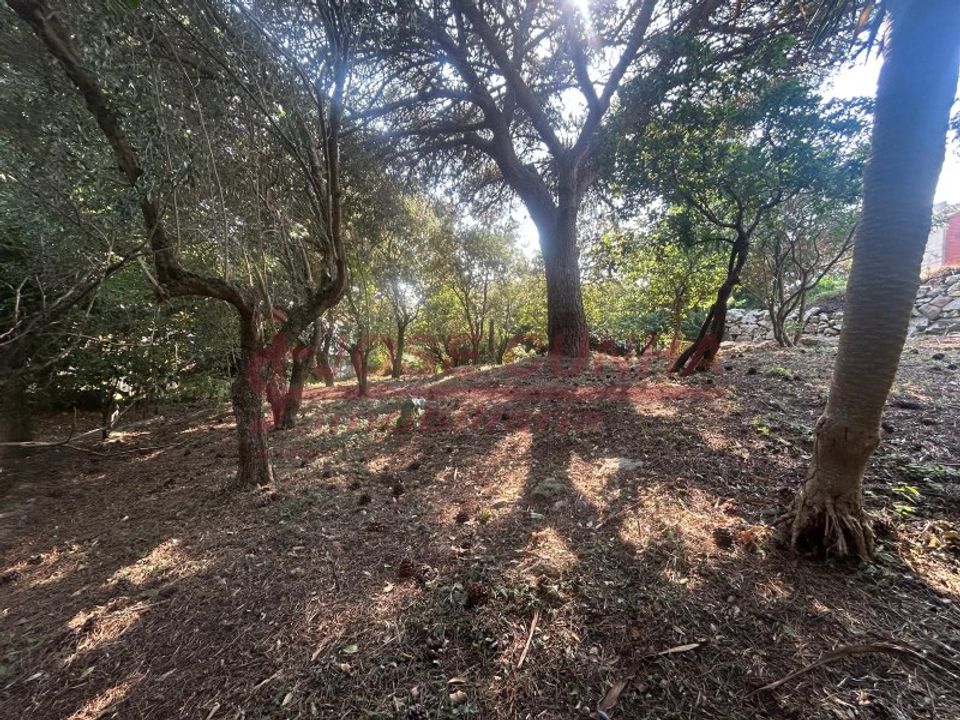 Villa i Vila Praia de Ancora, Viana do Castelo - foto 4