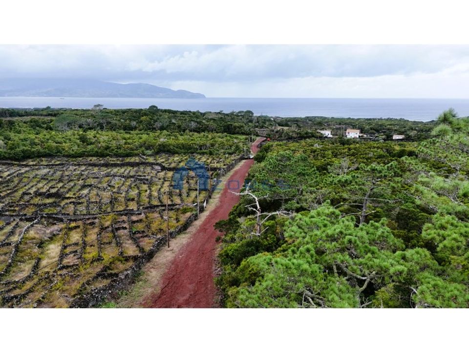 Helårsgrund i Madalena, Pico - foto 5