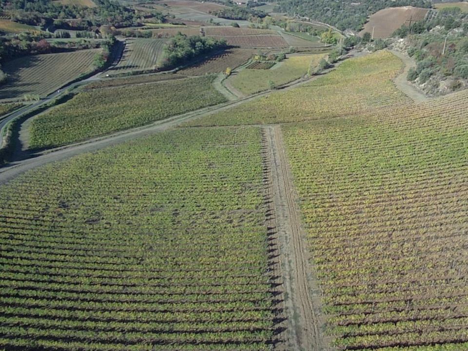 Farm i Tourreilles, Aude - foto 3