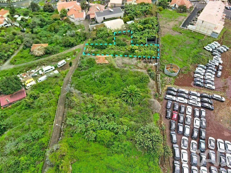 Helårsgrund i Santa Cruz, Madeira - foto 4