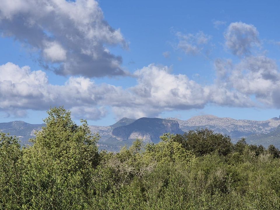 Helårsgrund i Costitx, Mallorca - foto 1