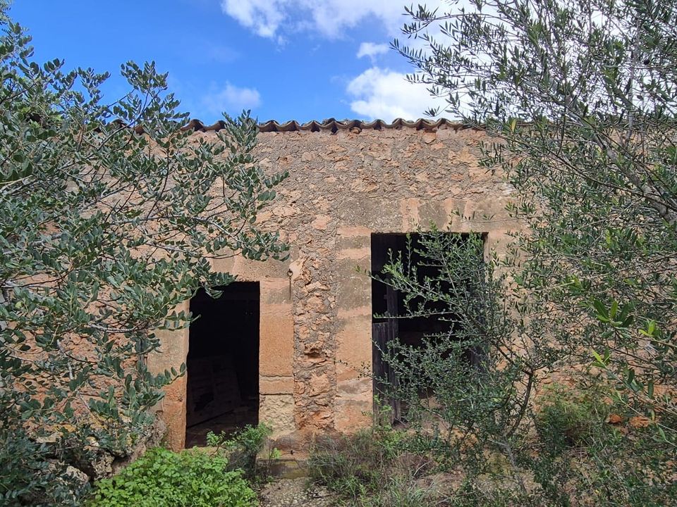 Helårsgrund i Costitx, Mallorca - foto 3