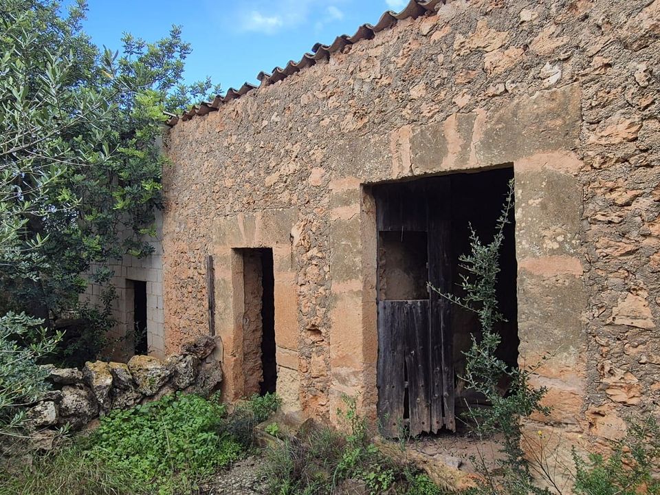 Helårsgrund i Costitx, Mallorca - foto 4