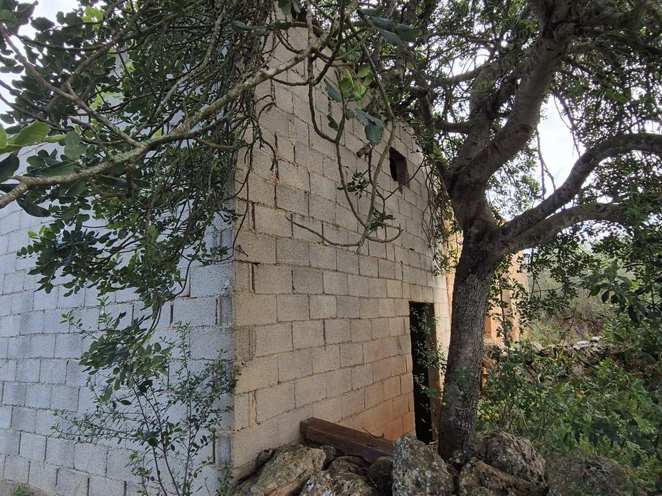 Helårsgrund i Costitx, Mallorca - foto 5