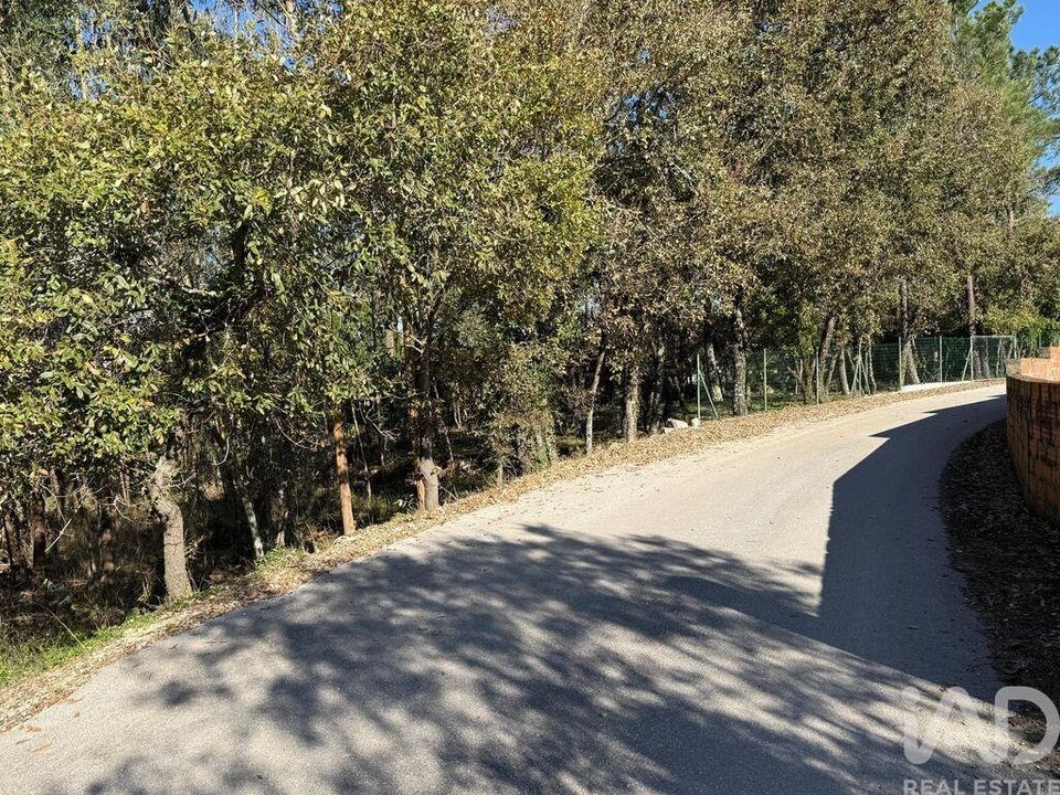 Helårsgrund i Porto de Mos, Leiria - foto 3