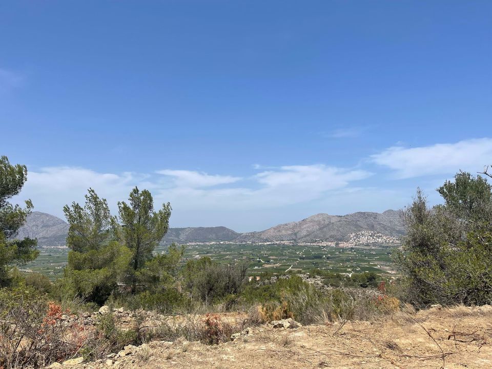 Helårsgrund i Benidoleig, Alicante - foto 2