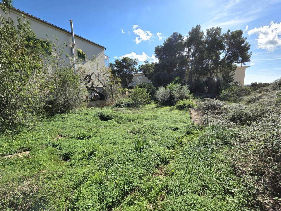 Helårsgrund i Santanyi, Mallorca - foto 1