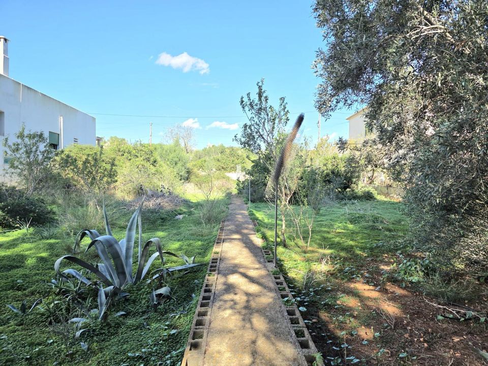 Helårsgrund i Santanyi, Mallorca - foto 2