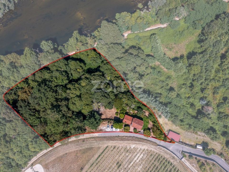 Villa i Ponte de Lima, Viana do Castelo - foto 4