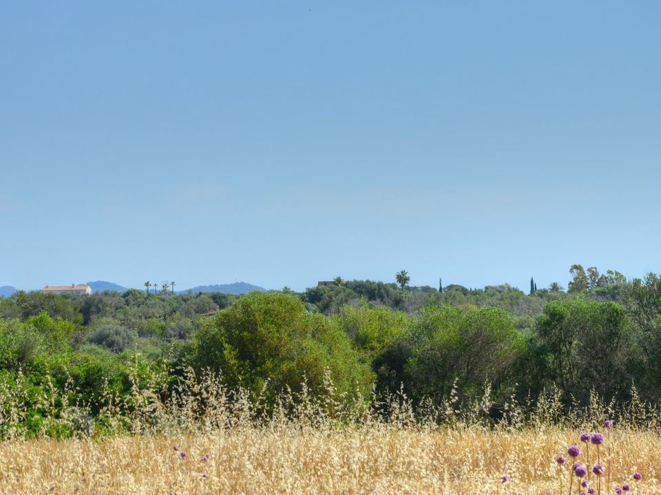 Helårsgrund i Santanyi, Mallorca - foto 1