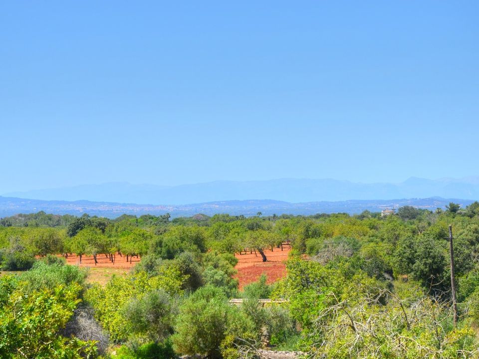 Helårsgrund i Es Carritxo, Mallorca - foto 1