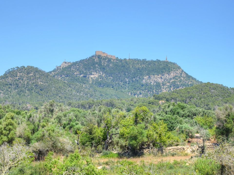 Helårsgrund i Es Carritxo, Mallorca - foto 2