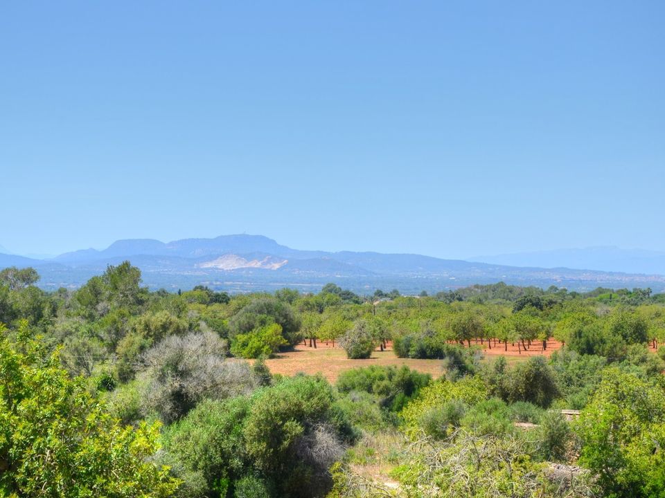 Helårsgrund i Es Carritxo, Mallorca - foto 3
